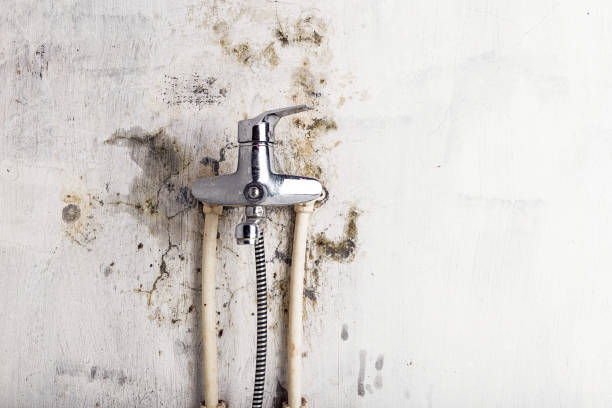Best Emergency Mold Remediation in Henryetta, OK