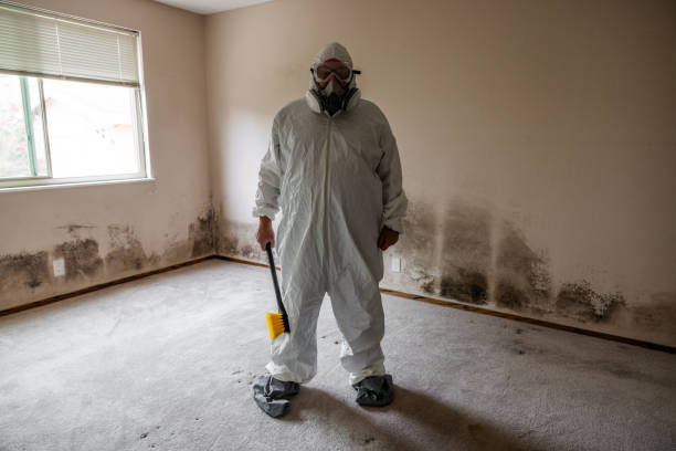 Best Health and Safety Mold Remediation in Henryetta, OK